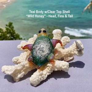 Ashes In Glass Sea Turtle Cremation Ashes In Memorial Glass. (Color: Teal/Clear)  Custom Glass Made to Your Colors Mounted on Beach Coral.