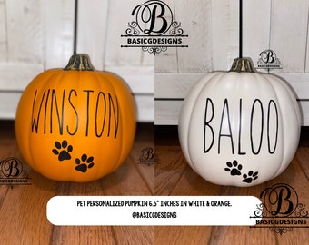 Small Pumpkins/ Fall/ Personalized Pumpkins / Fall Faux Pumpkins / Pet Name Pumpkin /  Porch Pumpkins/Fall Decor/Monogrammed Pumpkin/