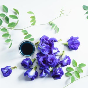 May include: A glass of blue butterfly pea flower tea with fresh blue butterfly pea flowers and green leaves on a white background.