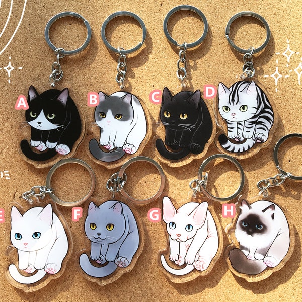 Acrylic cat keychain set 2/cat lover's gift/ bag charm/bag fob/ lanyard charm/ lanyard fob/Birthday gift