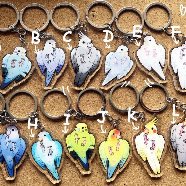 Acrylic Parrot keychain set 1/Bird lover's gift/ bag charm/bag fob/ lanyard charm/ lanyard fob/Birthday gift