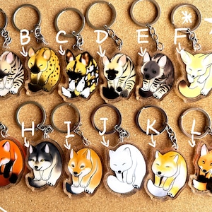 Acrylic Canidae keychain set/Canidae lover&#39;s gift/ bag charm/Birthday gift/keychain set for backpacks jeans birthday gift for her him