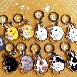 Acrylic bunny keychain set 2/bunny lover&#39;s gift/ bag charm/bag fob/ lanyard charm/ lanyard fob/Birthday gift