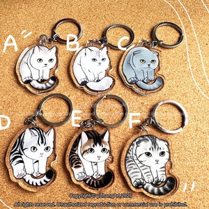 Ensemble de porte-clés de chat acrylique 3/cadeau d’amoureux de chat/charme de sac/porte-sac/charme de lanière/porte-clés de lanière/cadeau d’anniversaire