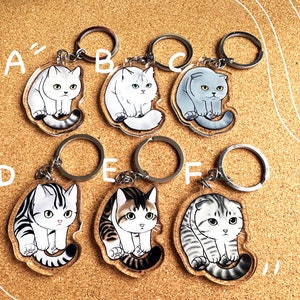 Acrylic cat keychain set 4 /cat lover's gift/ bag charm/bag fob/ lanyard charm/ lanyard fob/Birthday gift