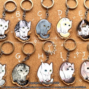 Porte-clés de chat acrylique ensemble 4 /cadeau d’amoureux de chat/ charme de sac/sac fob/ charme de longe/ fob de longe/cadeau d’anniversaire