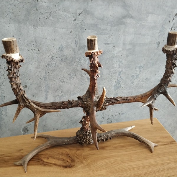 Antler candlestick, decoration, natural antlers, for 3 candles