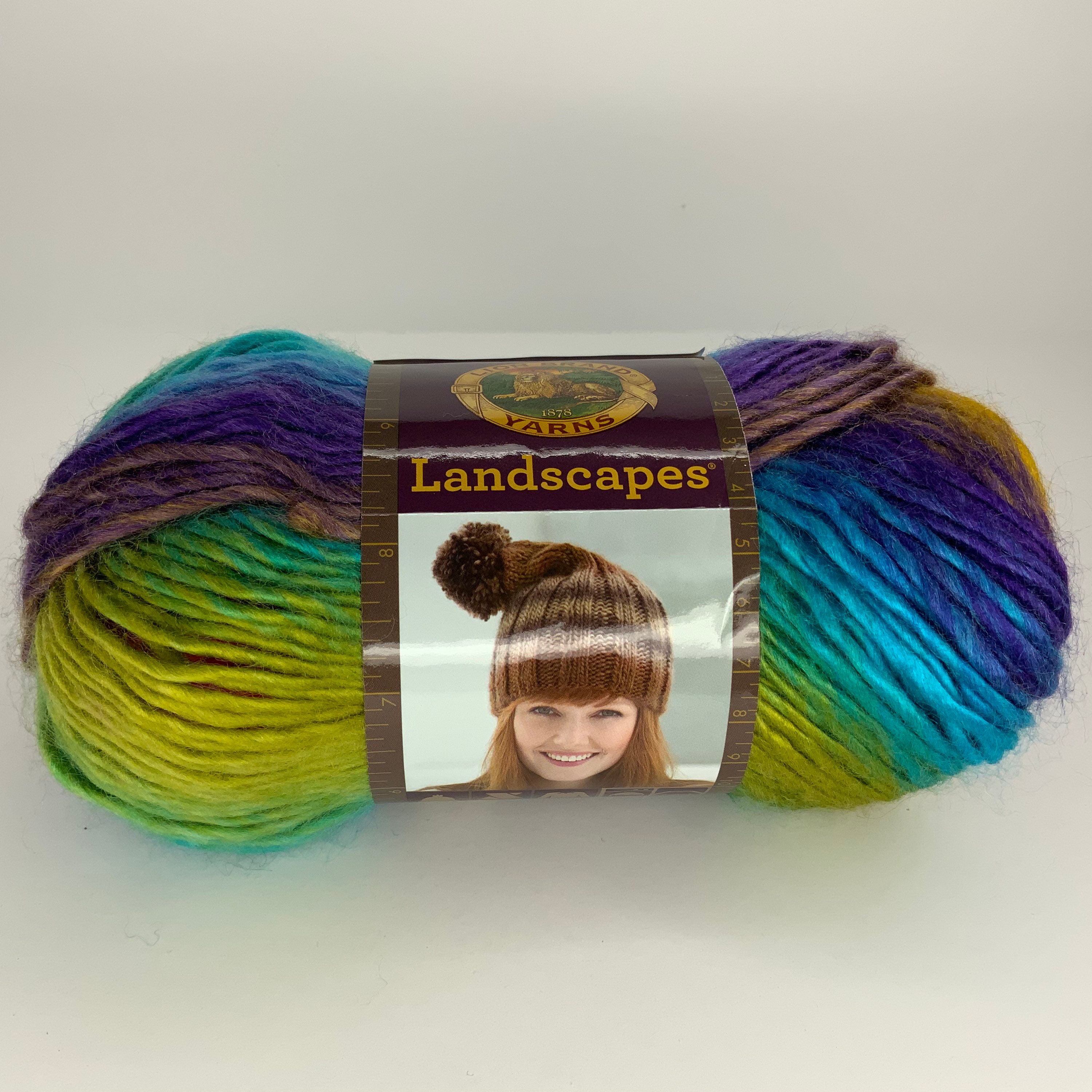 Lion Brand landscapes Yarn Boardwalk Multipack of 3