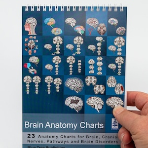 Puede incluir: Un libro encuadernado en espiral titulado "Brain Anatomy Charts" con ilustraciones detalladas del cerebro. La portada presenta una cuadr&iacute;cula de diagramas cerebrales de colores. El texto de la portada dice "23 Anatomy Charts for Brain, Cranial Nerves, Pathways and Brain Disorders."