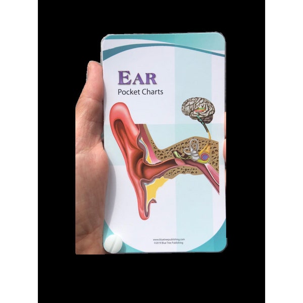 Ear Anatomy Pocket Charts for Audiologists and students of Audiology