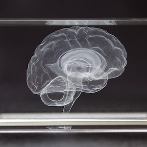 Human Brain Crystal for neurologist