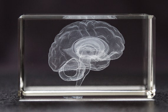 Human Brain Crystal for neurologist