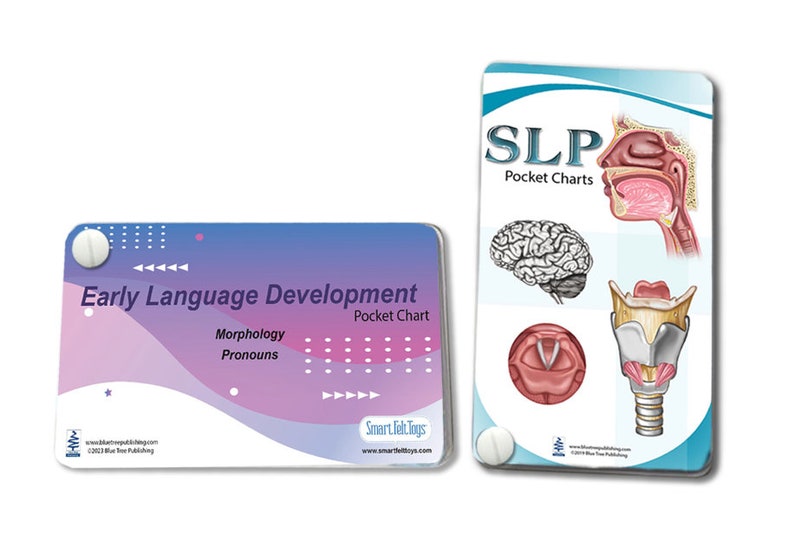 SLP Anatomy Pocket Charts & Early Language Development Chart ...