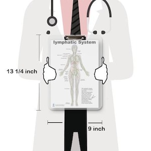 Lymphatic System Anatomical Chart – Human Body Lymph Nodes, Vessels & Organs Poster – Medical, Nursing, Biology Study Guide