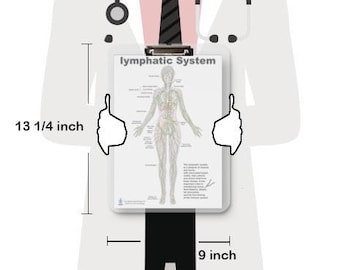 Lymphatic System Anatomical Chart – Human Body Lymph Nodes, Vessels & Organs Poster – Medical, Nursing, Biology Study Guide