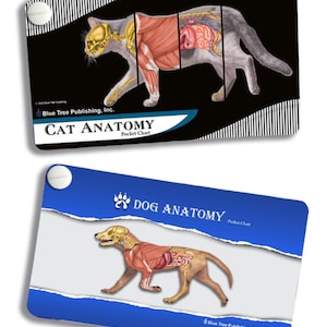 May include: Two pocket charts, one for cat anatomy and one for dog anatomy. Both charts feature detailed illustrations of the skeletal, muscular, and internal organ systems of the animals. The charts are printed on a blue background with white text and a paw print logo.