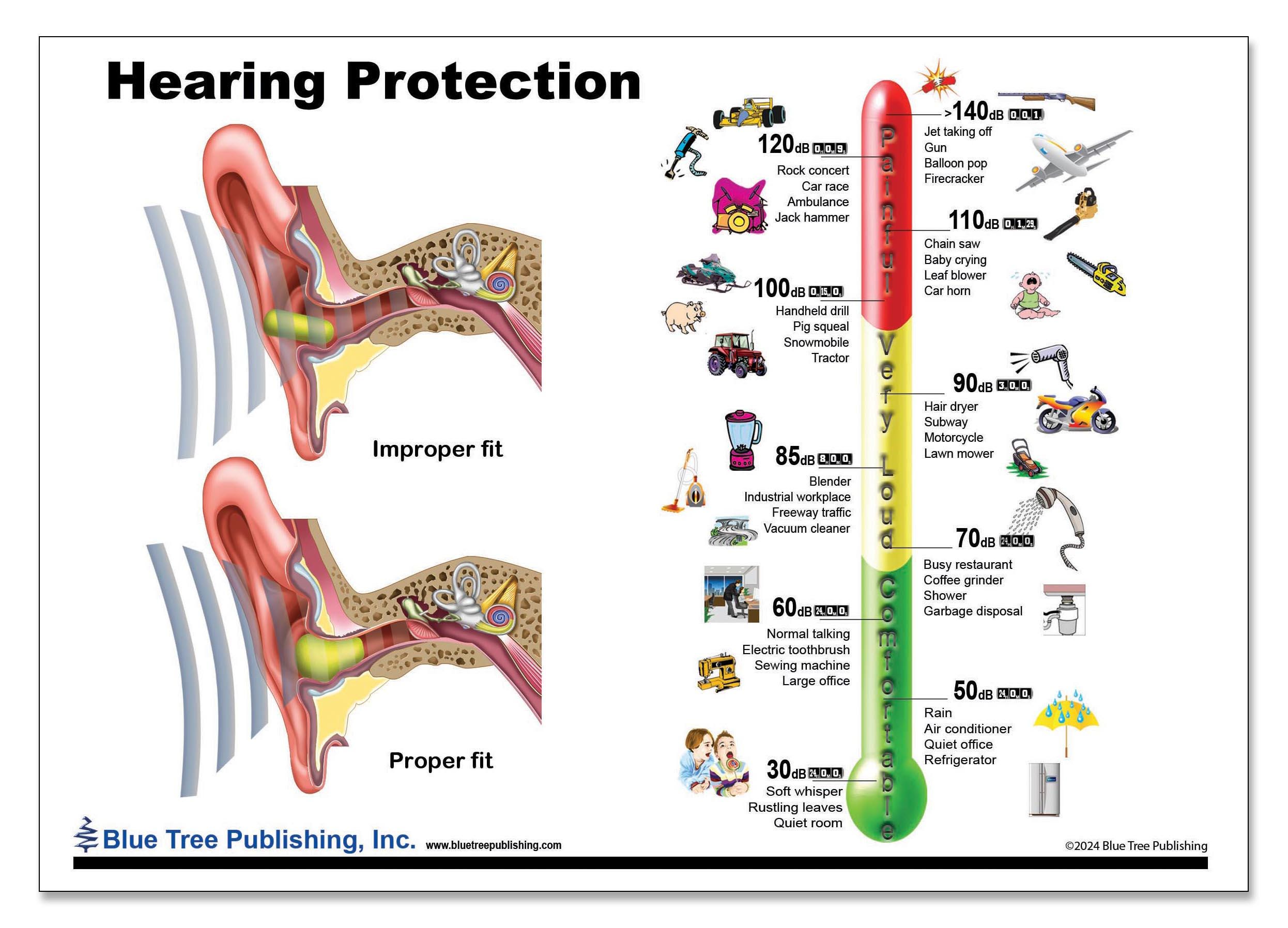 Hearing Protection , Ear Anatomy Support Card 11