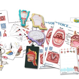 May include: A set of educational posters and flashcards illustrating the human vocal tract and speech production. The posters feature colorful anatomical diagrams of the mouth, throat, and larynx, with labels identifying key structures. The flashcards include images of the vocal cords, tongue, and other parts of the speech mechanism. The set also includes a keychain with a model of the vocal tract.