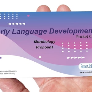 May include: A blue and purple pocket chart with the text "Early Language Development" and "Morphology Pronouns". The chart is made by Smart Felt Toys and has their website address printed on it.