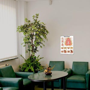 May include: A green waiting room with three chairs and a table. A poster on the wall shows a diagram of the pelvic floor.