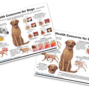 Dog 10 Health Concern Chart, double side laminated chart, A4 size, Anatomy & Veterinary Physiology Canine - For Vet Nurses And Students.
