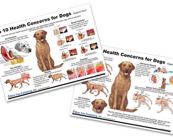 May include: Two informational cards titled "Top 10 Health Concerns for Dogs" and "Health Concerns for Dogs." The cards feature illustrations of dog breeds and diagrams of health issues, including ear infections, skin allergies, and heartworm disease.