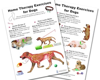 May include: Two white printed sheets titled "Home Therapy Exercises for Dogs" with illustrations and instructions for dog exercises. The sheets include diagrams of dogs and text describing exercises like "Gentle Range of Motion Exercises."