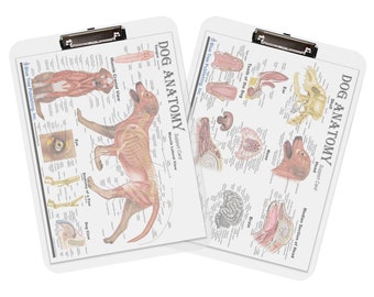 May include: Two white clipboards with anatomical illustrations of a dog. The left clipboard shows a dog's muscle structure in lateral and cranial views. The right clipboard shows a dog's head, teeth, and internal organs.