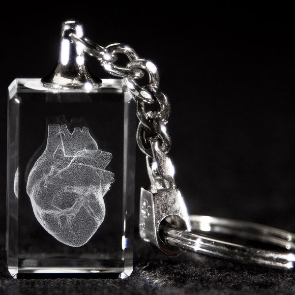 Human Heart Anatomy Crystal Key Chain Medical Gift