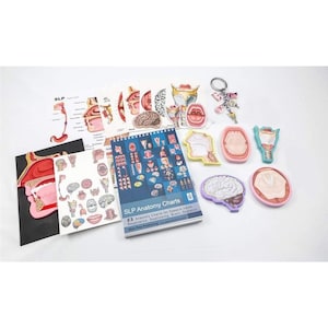 Speech Language Pathology  SLP Gift Set with Brain, mouth, vocal folds, larynx with anatomy charts book