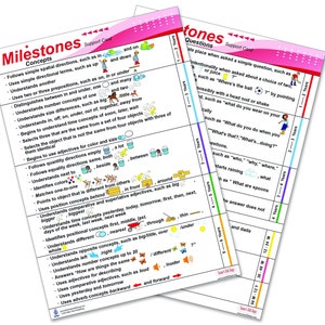 May include: Two colorful charts with pink borders, outlining developmental milestones for children. The left chart lists concepts, such as spatial directions, size, and time. The right chart lists questions to ask children, such as "What do you do when you..." and "What's that?"