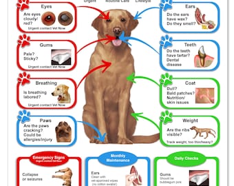 May include: A guide titled "Keeping Your Dog Healthy" with health signs to watch for. It features a brown dog and diagrams about eyes, gums, breathing, paws, ears, teeth, coat, and weight. Includes emergency signs and daily/monthly maintenance.