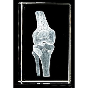 May include: A clear glass cube with a white 3D model of a human knee joint inside.
