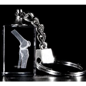 May include: A crystal keychain with a laser-engraved image of a human knee joint.