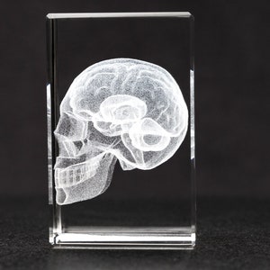 Skull and Brain Crystal Art