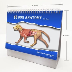 Dog Veterinary Anatomy Flip Charts, Anatomy & Veterinary Physiology Canine Workbook -36 Pages - 8.&quot; x 5&quot; - For Vet Nurses And Students