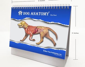 May include: A blue and white flip chart with a dog anatomy illustration. The chart is 8 inches wide and 6 inches tall. The title of the chart is "Dog Anatomy Flip Chart".