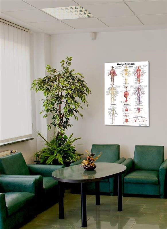Human Body Systems Poster, Muscular, Nervous, Circulatory, Lymphatic ...