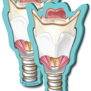 Larynx Stick Note