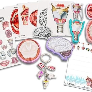 May include: A set of colorful anatomical illustrations of the mouth, nose, and brain. The illustrations are printed on white paper and include labels for each part of the body. The set also includes a notepad with the words "SLP Notes" printed on the front.