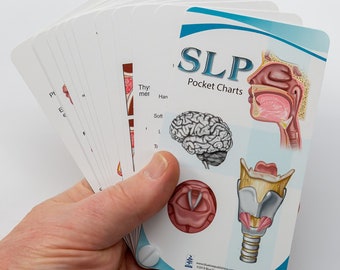 SLP Anatomy Pocket Charts