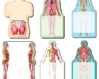 Colección Fun Anatomy Stick Notes