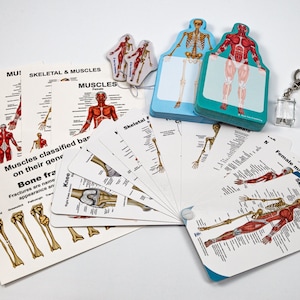 Muscles Gift Box Set 02