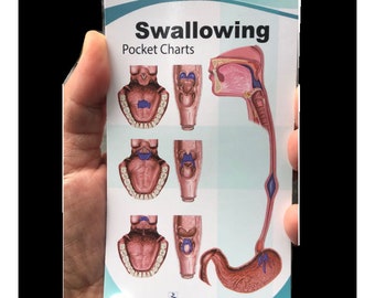 Swallowing Anatomy Pocket Charts