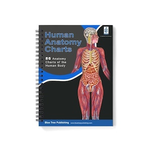 May include: A spiral-bound book titled "Human Anatomy Charts" with a detailed illustration of the human body. The cover features a blue and white design with the text "86 Anatomy Charts of the Human Body". The book is from Blue Tree Publishing.