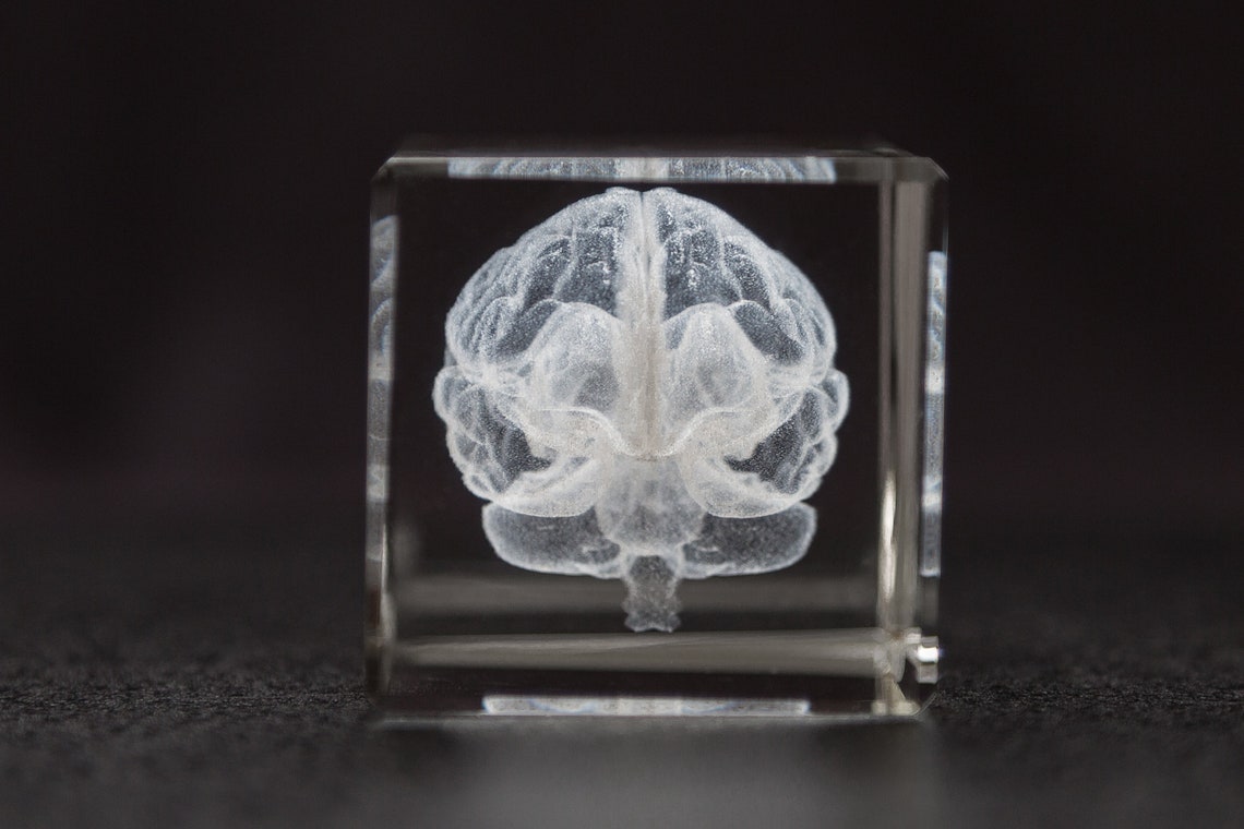 Human Brain Crystal for Neurologist - Etsy