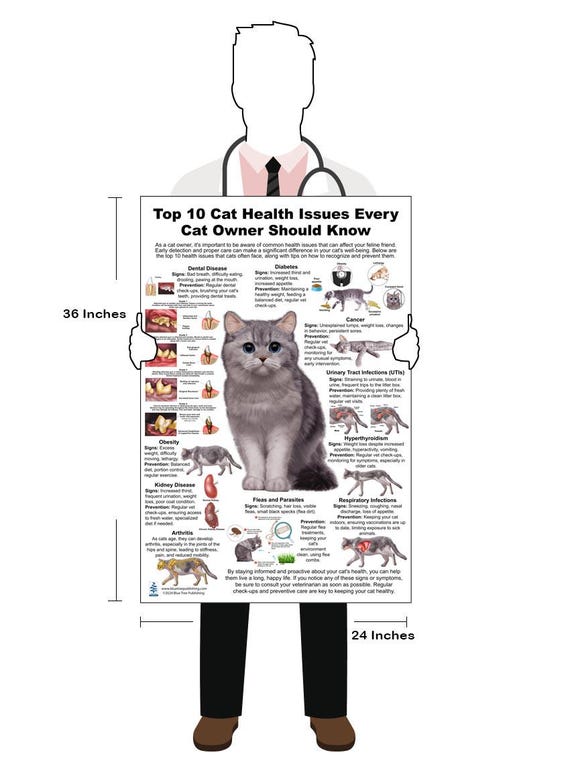 10 Early Signs of Diabetes in Cats: Vital Owner Insights 3 10 Early Signs of Diabetes in Cats: Vital Owner Insights