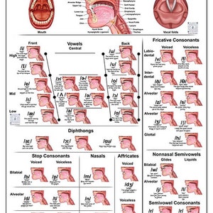 Speech Articulation Large Poster with QR codes