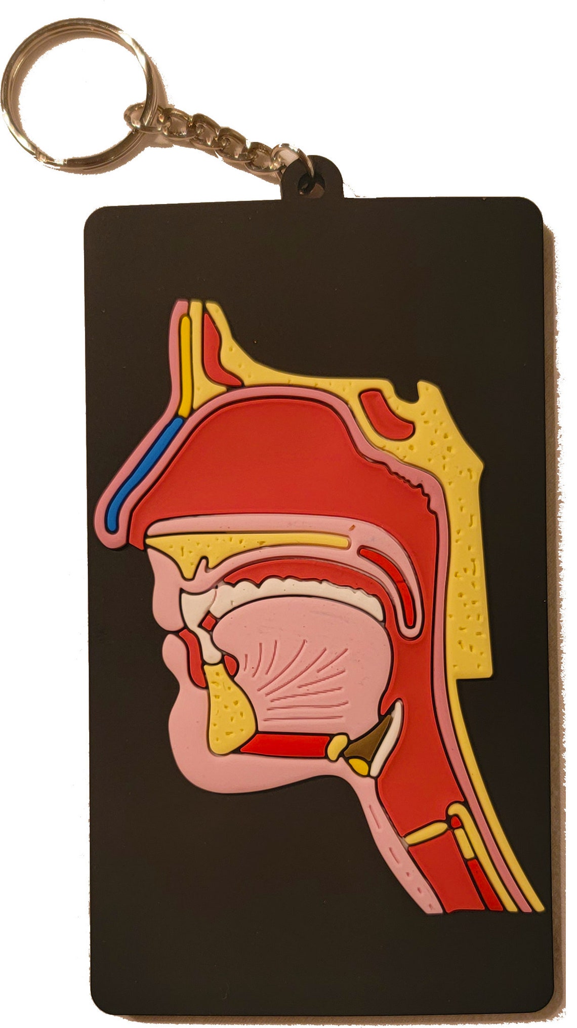 SLP Anatomy Pocket Charts Etsy