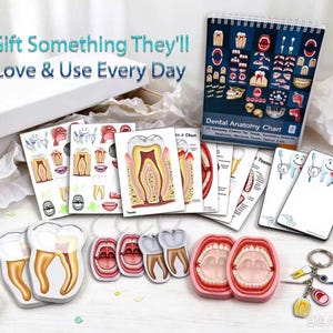May include: A dental anatomy educational set including a spiral-bound chart, multiple illustrated cards showing tooth structures, two pink plastic jaw models, and a metal keychain with small dental-themed charms, all packaged in a white box.